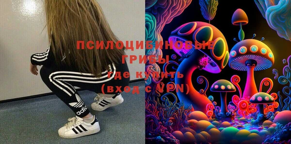 тгк Пестово