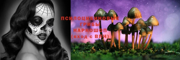 экстази Переславль-Залесский