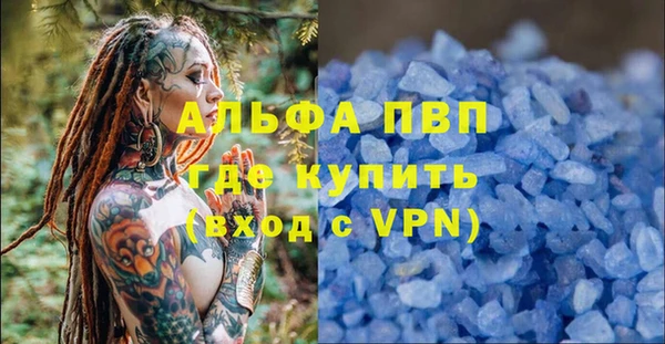 jwh Пересвет