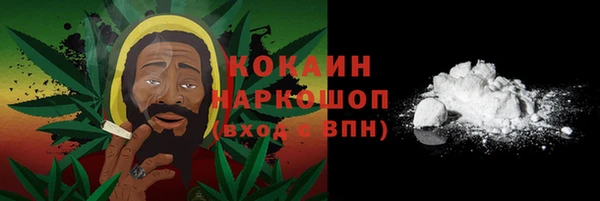 тгк Пестово