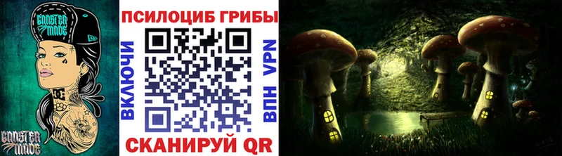 где купить наркотик  OMG   нарко площадка Telegram  Чехов  Галлюциногенные грибы прущие грибы 